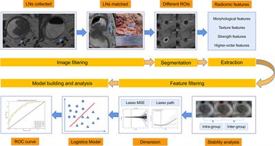 Development and validation of a high-resolution T2WI-based radiomic signature for the diagnosis of lymph node status within the mesorectum in rectal cancer